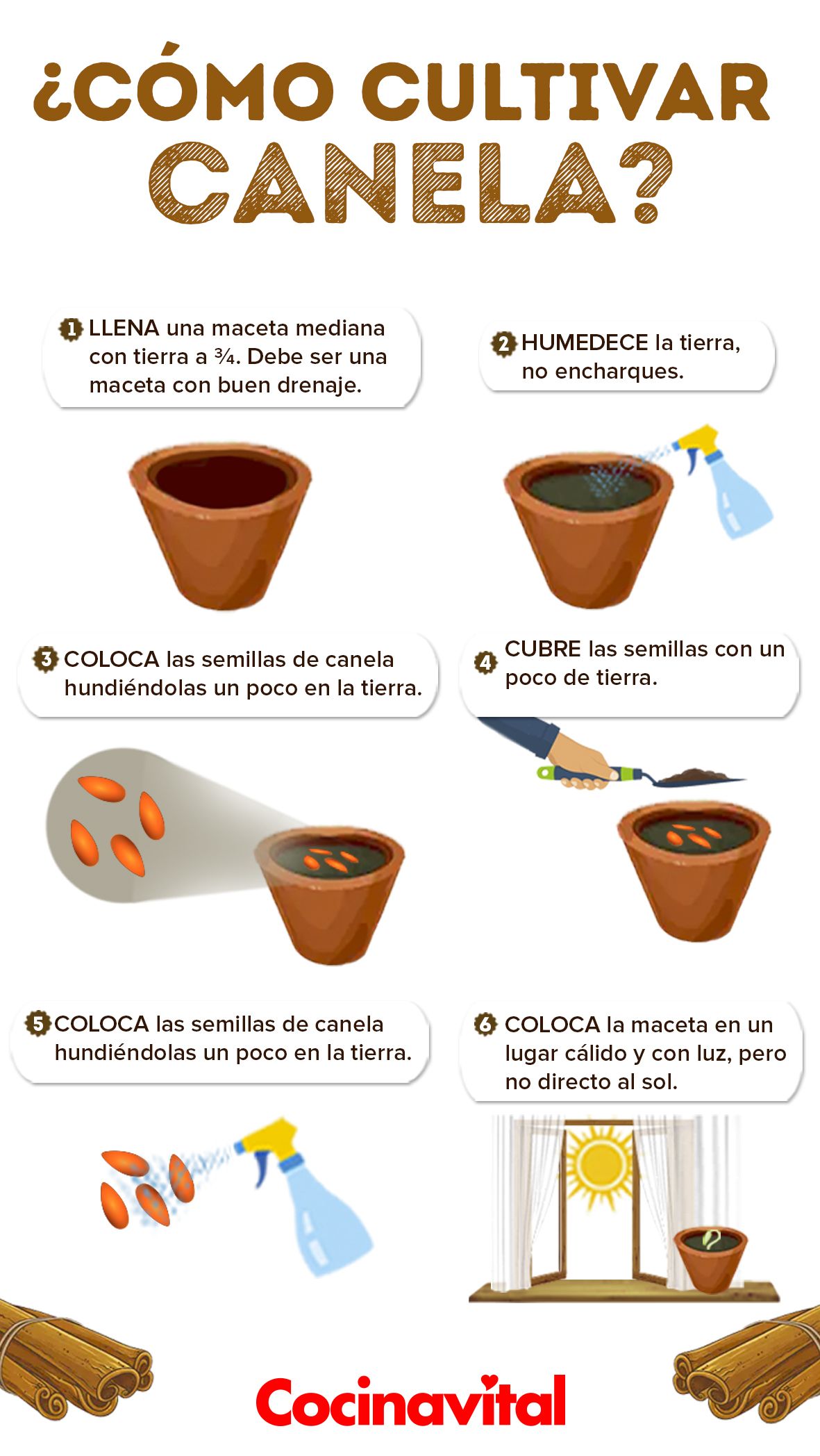 Cómo cultivar tu propia planta de canela en casa