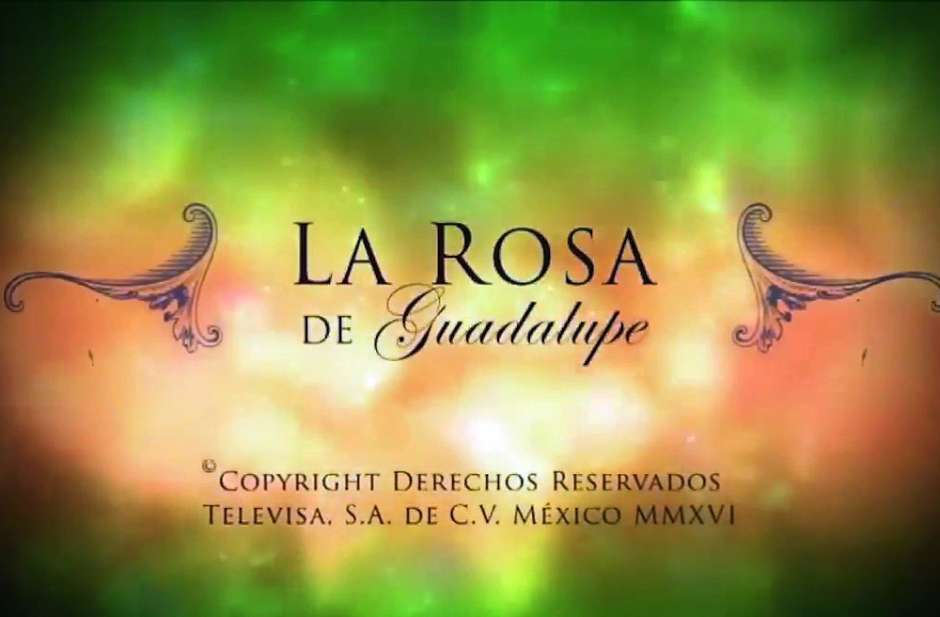 Rosa de Guadalupe