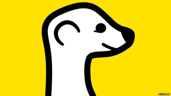 Meerkat, nueva aplicación a la 