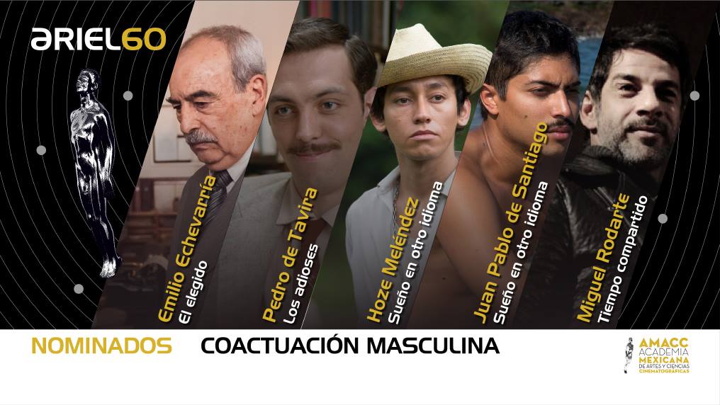 06 Coactuacion Masculina