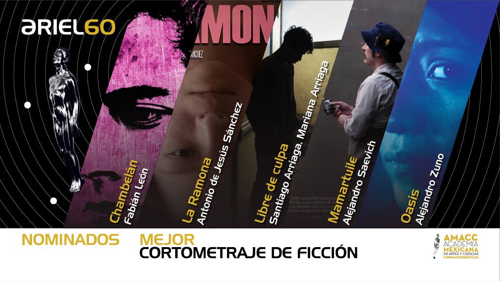 12 Mejor Cortometraje de Ficcion