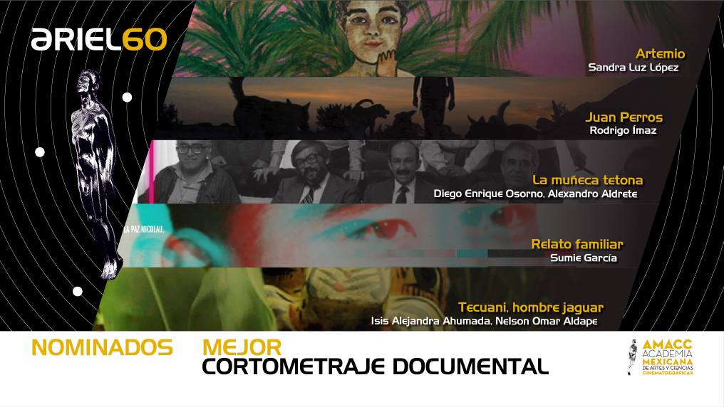 13 Mejor Cortometraje Documental