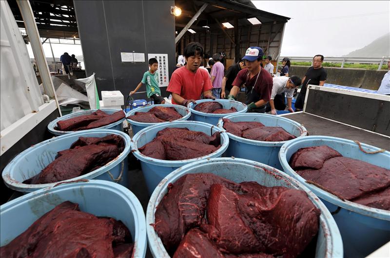 cortes de carne de ballena