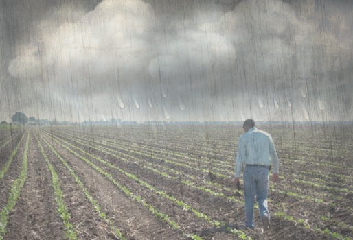 lluvias fuertes cultivo ini