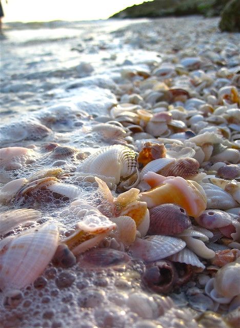 Low Tide 1