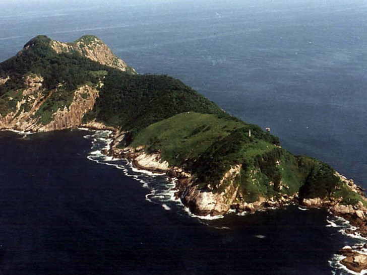 isla de las serpientes en brasil