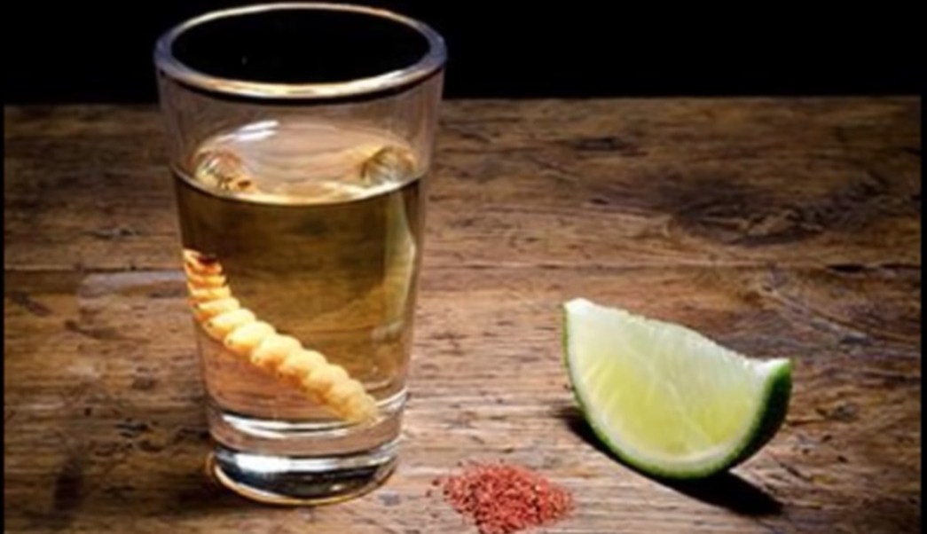 mezcal