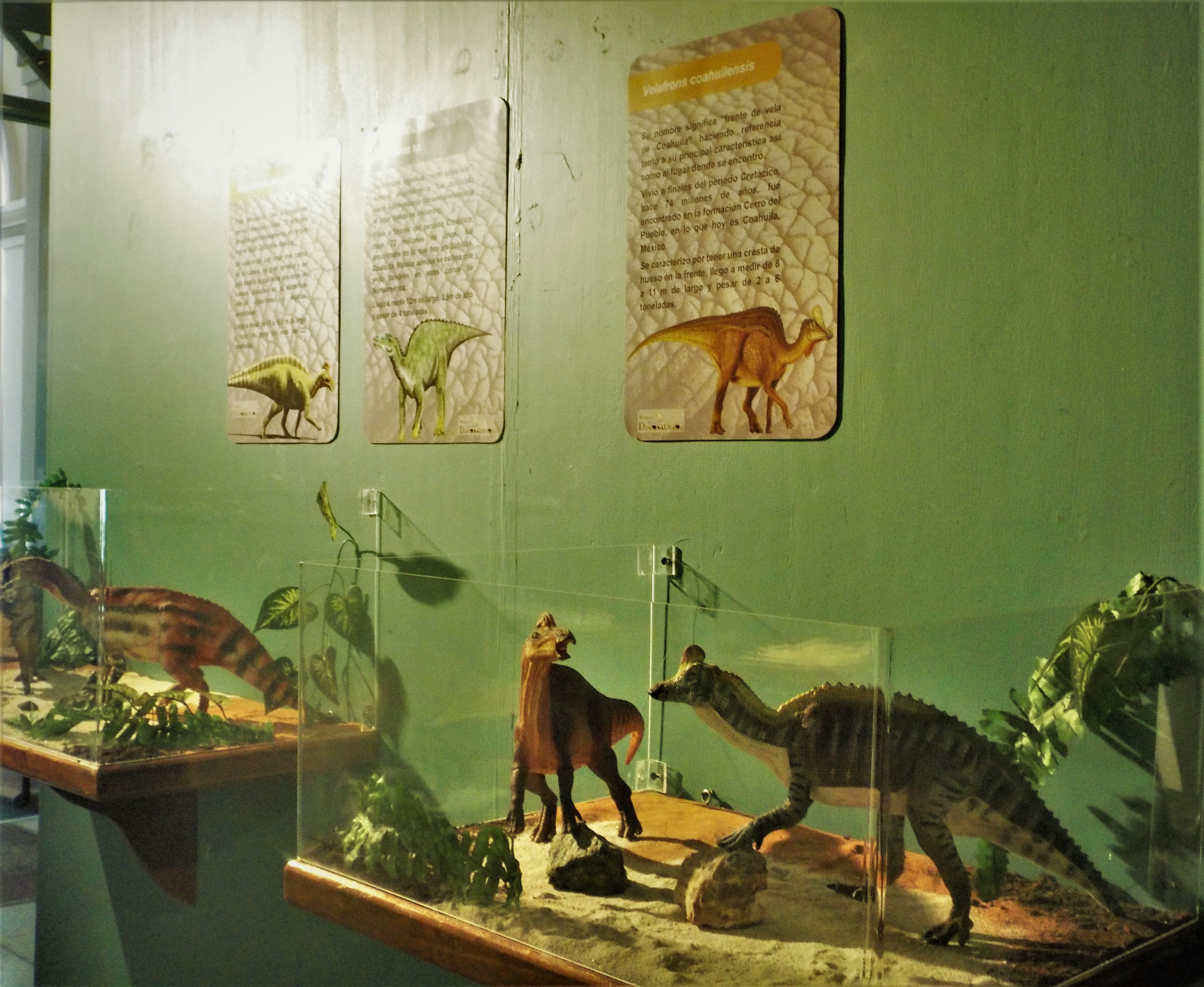 Parte de la Exposición de "México... Tierra de dinosaurios"