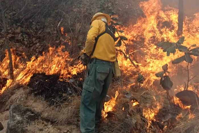 incendio en almoloya