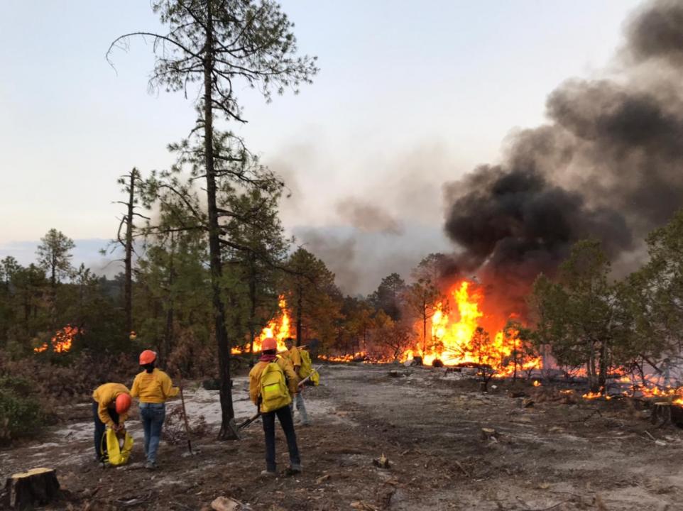 incendios forestales cuu