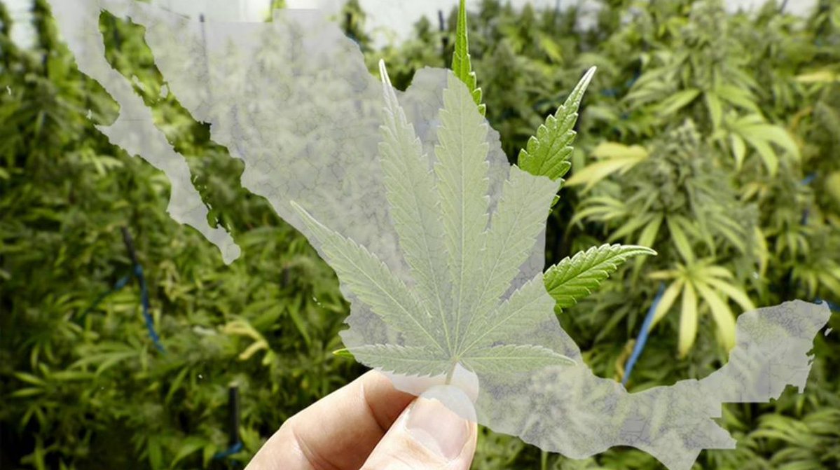 Últimos pasos para legalizar el