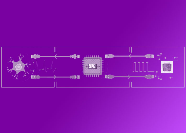 Logran comunicación entre una n