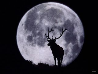 La luna más poderosa del año h La luna más poderosa del año h