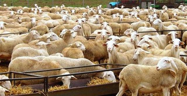 Edoméx con liderazgo nacional e