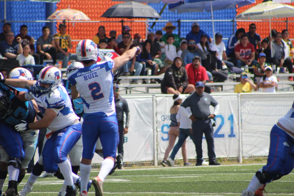 Osos al borde del abismo https:/