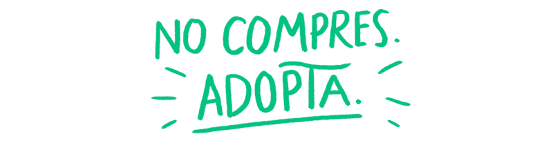 no compres adopta