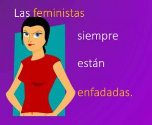 las feministas siempre esatn enfadadas 300x246