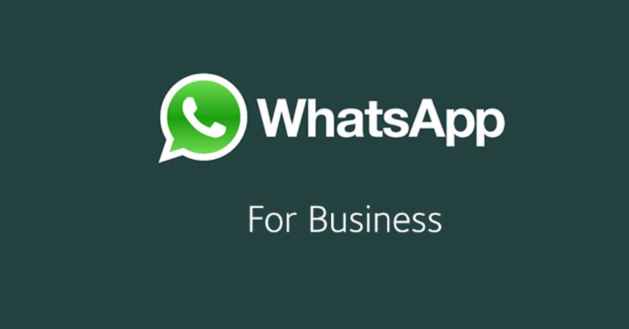 whatsapp empresas